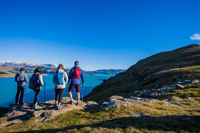 Luxury Private Guided Crater Rim Walk on Banks Peninsula - Overview of the Crater Rim Walk