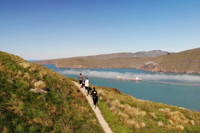Luxury Private Guided Crater Rim Walk on Banks Peninsula - Highlights of the Luxury Guided Experience
