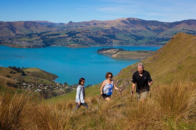 Luxury Private Guided Crater Rim Walk on Banks Peninsula - Reviews and Ratings From Previous Visitors