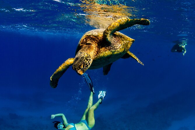 Luxury Private Sailing Catamaran in Waikiki - Customer Reviews and Ratings