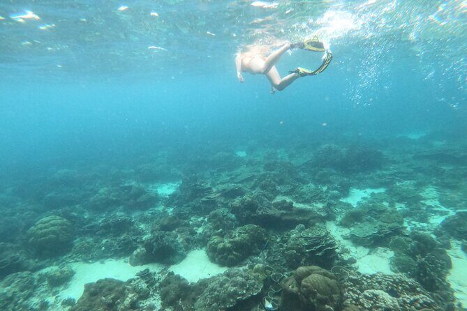 Luxury Private Speed Boat Charter with Coral Delight - Final Thoughts