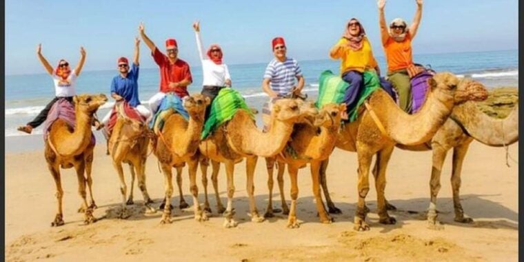 Luxury Private Tangier Tour From Cadiz All Inclusive - Customer Experience
