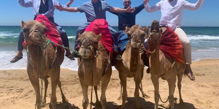 Luxury Private Tangier Tour From Cadiz All Inclusive - Dining and Refreshments