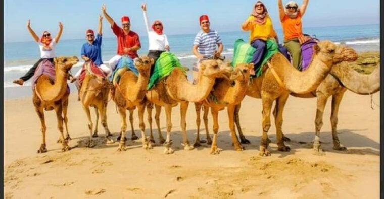 Luxury Private Tangier Tour From Estepona All Inclusive - Rmilat Park