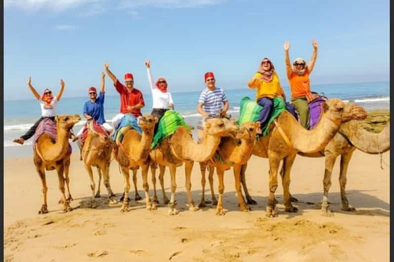 Luxury Private Tangier Tour From Malaga All Inclusive - Key Points
