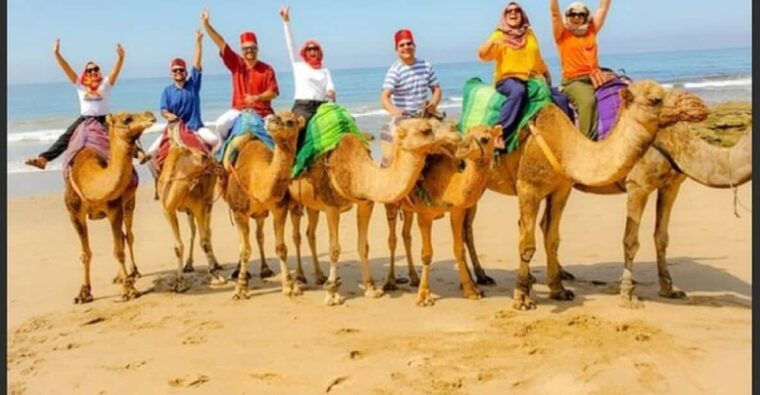 Luxury Private Tangier Tour From Malaga All Inclusive - Rmilat Park