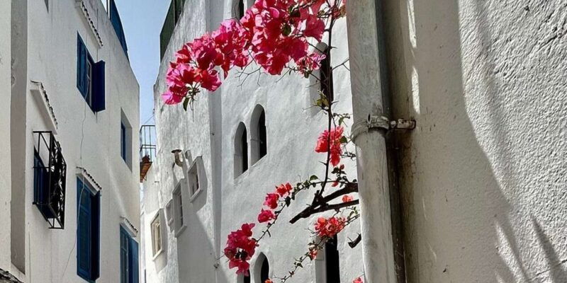Luxury Private Tangier Tour From Marbella All Inclusive - Key Points