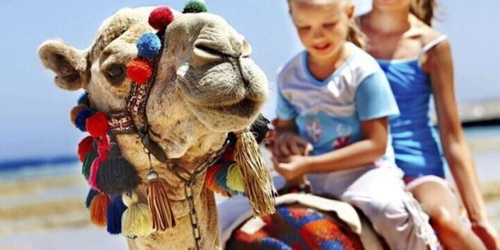 Luxury Private Tangier Tour From Marbella All Inclusive - Pickup and Dropoff Locations