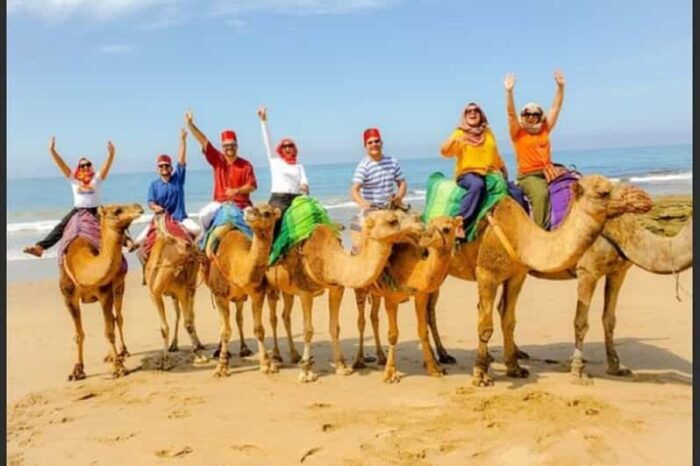 Luxury Private Tangier Tour From Marbella All Inclusive - Customer Reviews