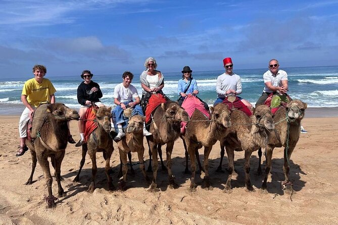 Luxury Private Tangier Tour With Lunch and Camel Ride - Good To Know