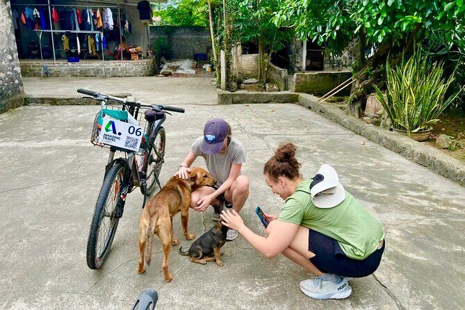 Luxury Private Tour from Hanoi to Mua Caves, Tam Coc & Hoa Lu - Practical Details and Value
