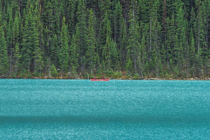 Luxury Private Tour of Lake Louise, Moraine, Peyto and Banff - Peyto Lake: The Wolf-Head Shaped Wonder