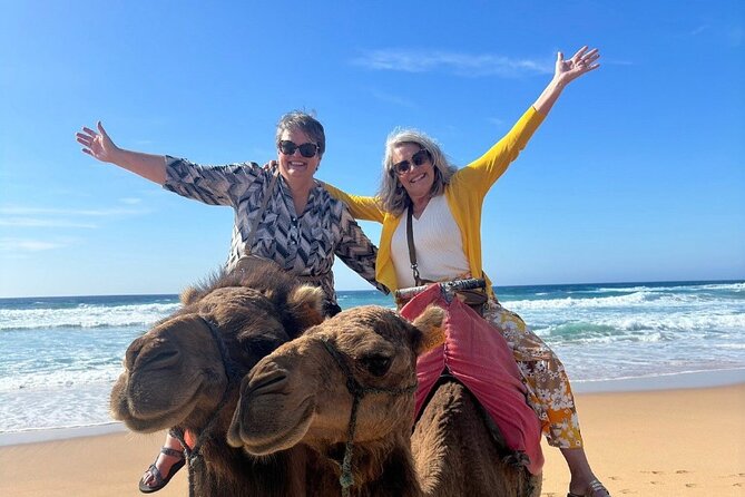 Luxury Private Tour of Tangier From Malaga, All Inclusive - The Sum Up
