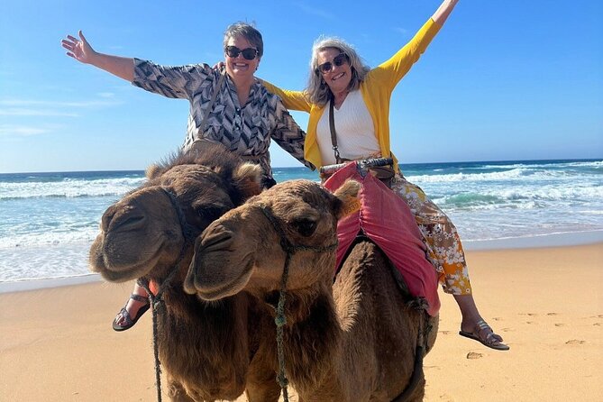 Luxury Private Tour of Tangier From Marbella All Inclusive - Reviews
