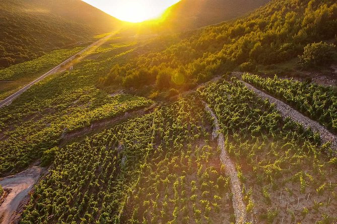 Luxury Private Transfer Dubrovnik - Split With Lunch in Ston - Frequently Asked Questions