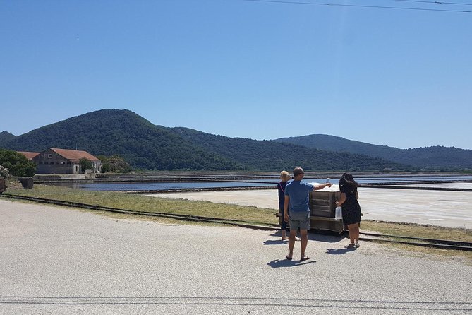 Luxury Private Transfer Split - Dubrovnik With Lunch in Ston - Service Details