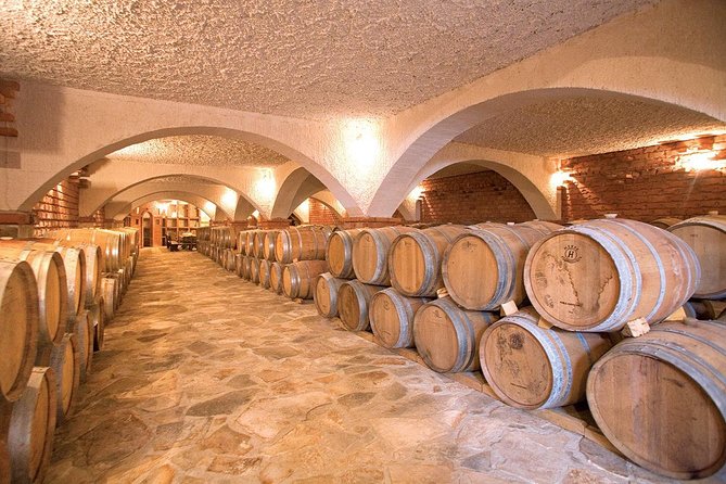 Luxury Private Transfer Split - Dubrovnik With Lunch in Ston - Vehicle Information