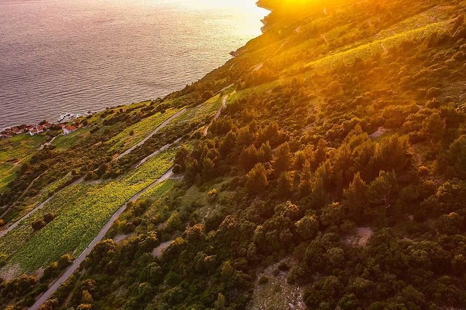 Luxury Private Transfer Split - Dubrovnik With Lunch in Ston - Lunch in Ston