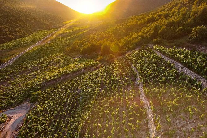 Luxury Private Transfer Split - Dubrovnik With Lunch in Ston - Cancellation Policy