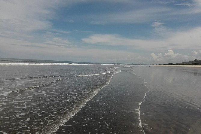 Luxury Private Transfers to Panama's Beach Paradises - Transfer Information