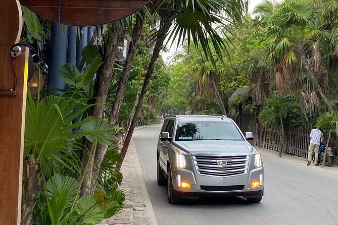 Luxury Private Transportation Cancun Airport to Tulum Hotel Zone - Good To Know  