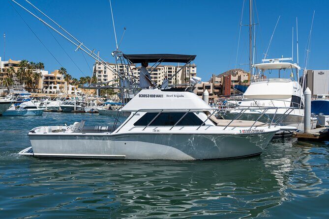 Luxury Private Yacht Charter in Cabo San Lucas Mexico - Final Thoughts