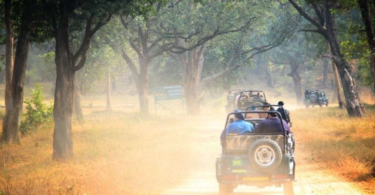 Luxury Safari Camping in Yala - Unique Experience in Yala National Park