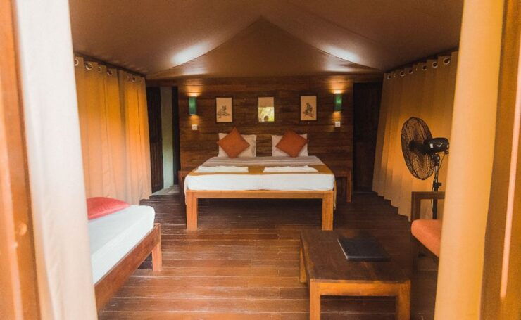 Luxury Safari Camping in Yala - Deluxe Camping Accommodations
