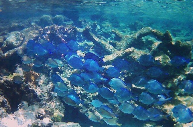 Luxury Sail & Snorkeling - Final Thoughts