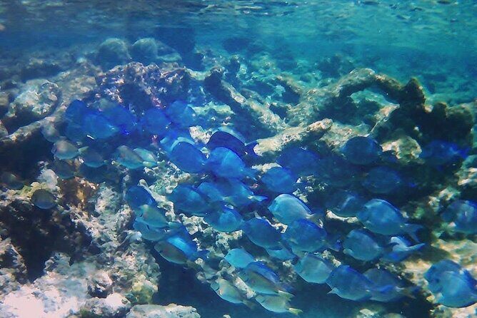 Luxury Sail & Snorkeling - Who Should Consider This Tour?