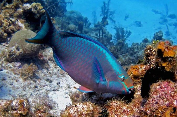 Luxury Sail & Snorkeling - FAQ