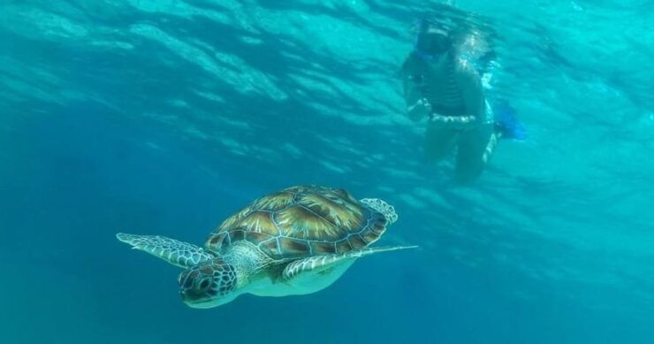Luxury Sailing and Snorkeling Puerto Aventuras - Good To Know