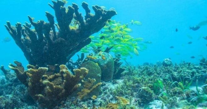 Luxury Sailing Isla Mujeres - Flexible Booking Options