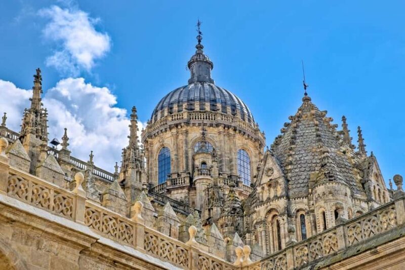 Luxury Salamanca & Iberian Ham Tour from Madrid - Practical Details and Experience Quality