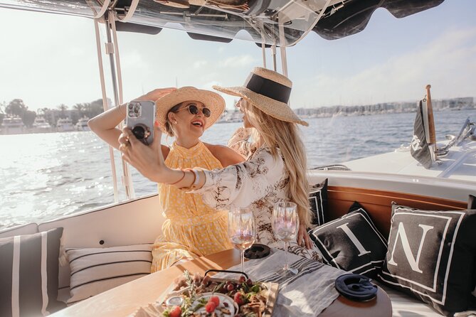 Luxury Shared E-Boat Cruise With Wine, Charcuterie & Sea Lions Spotting - Nature Connection: Relaxing Experience