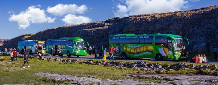 Luxury Shore Excursion From Waterford (Dunmore East) - Kilkenny: Medieval Charm and Architectural Marvels