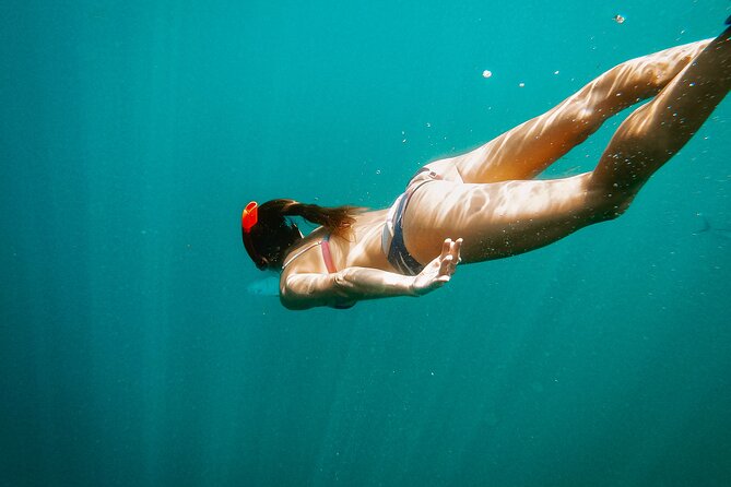 Luxury Snorkel Adventure in Cabo - What to Expect During the Snorkel Adventure