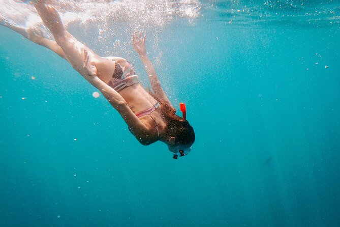 Luxury Snorkel Adventure in Cabo - Traveler Photos From the Snorkel Adventure