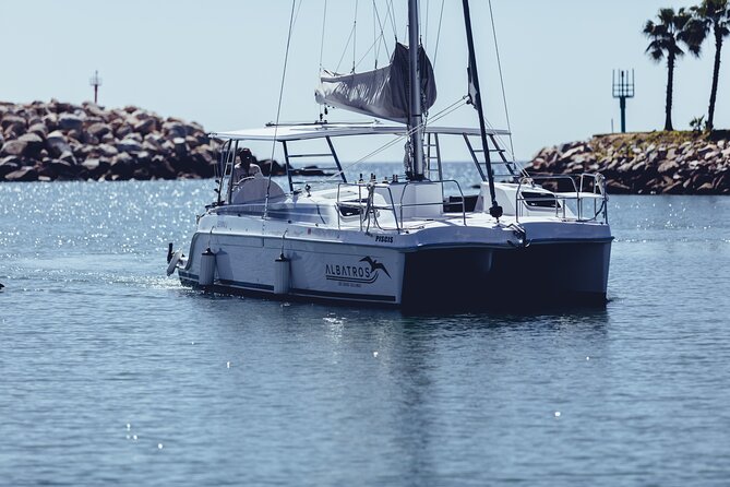 Luxury Snorkel Adventure in Cabo - The Sum Up