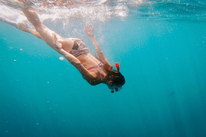 Luxury Snorkeling Tour in Cabo San Lucas - Refund and Cancellation Policy