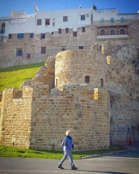 Luxury Tangier Private Day Tour From Marbella All Inclusive - Uncovering Tangiers History and Culture