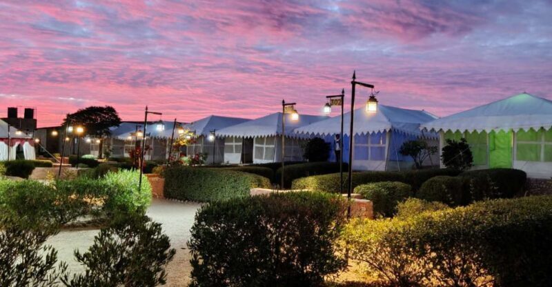 Luxury tent, dinner, breakfast, camel ride in thar desert - Practical Tips for Travelers