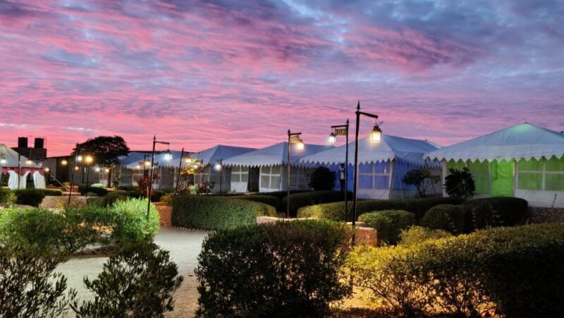 Luxury tent, dinner, breakfast, camel ride in thar desert - Good To Know