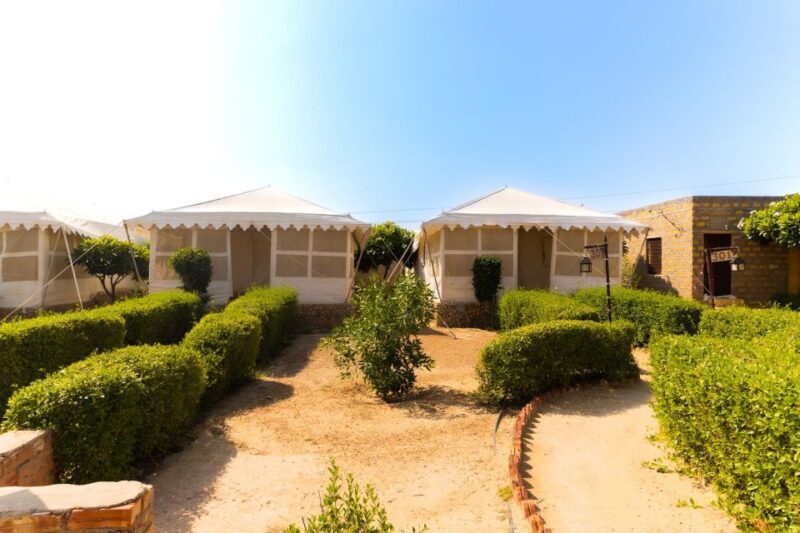 Luxury tent, dinner, breakfast, camel ride in thar desert - Practical Details and What to Expect