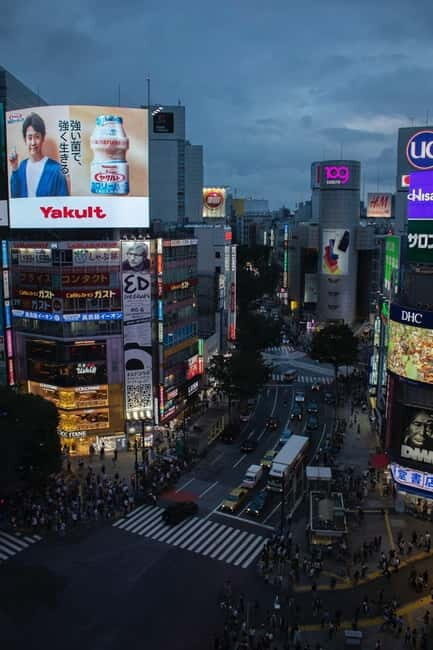 Luxury Tokyo City Attractive Full Day Private Tour - Good To Know