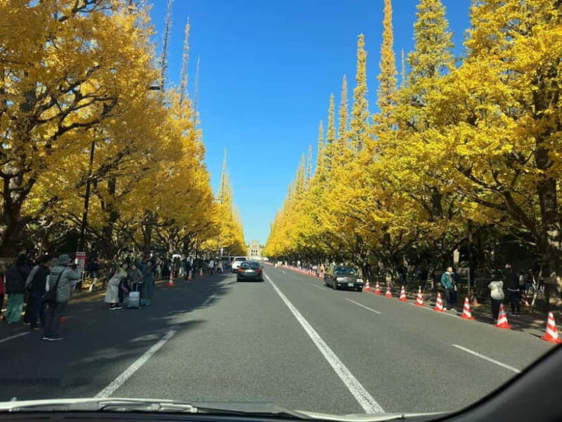 Luxury Tokyo City Attractive Full Day Private Tour - Good To Know