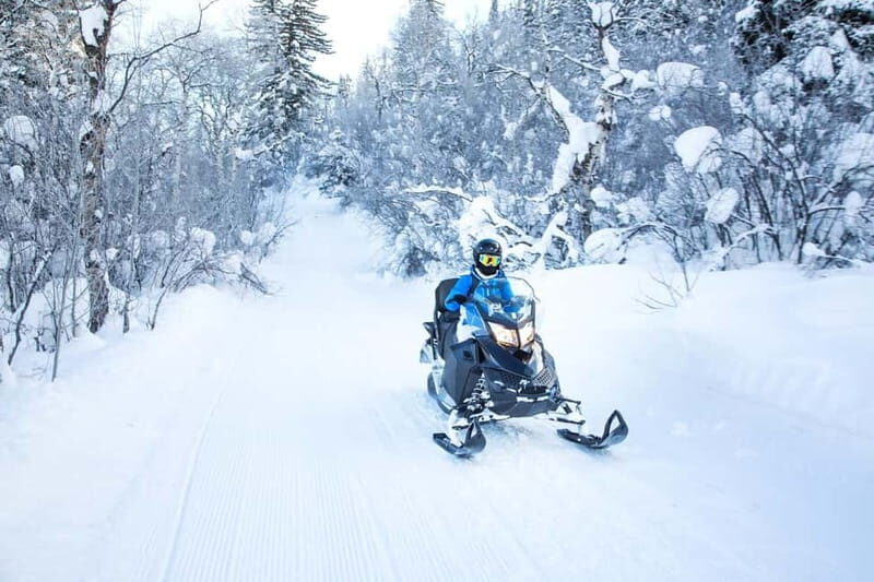 Luxury Tour Andorra with snow driving course from Barcelona - Good To Know