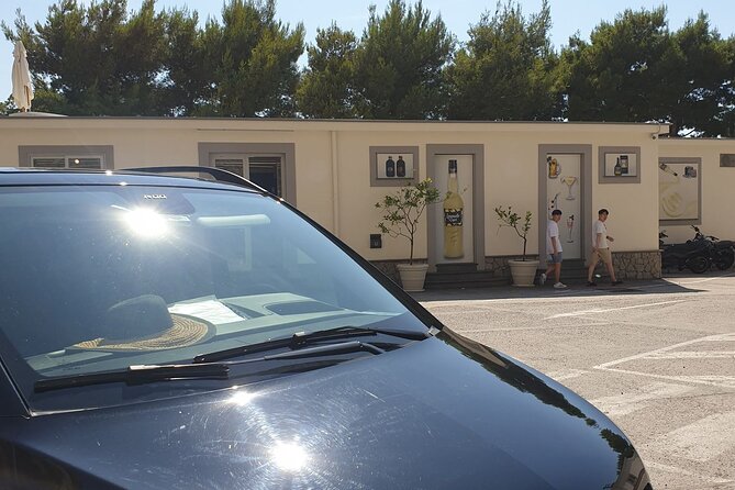 Luxury Tour From Naples to Pompeii Wine Testing and Herculaneum - Luxury Transportation Details