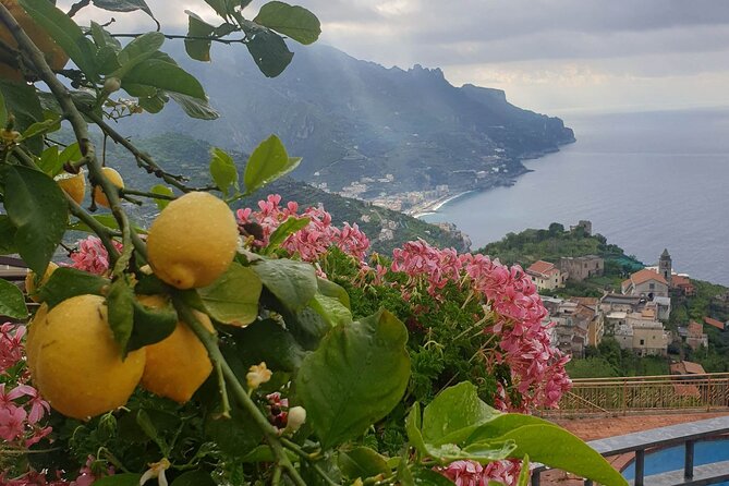 Luxury Tour From Positano to Pompei Ravello Amalfi - Meeting and Pickup