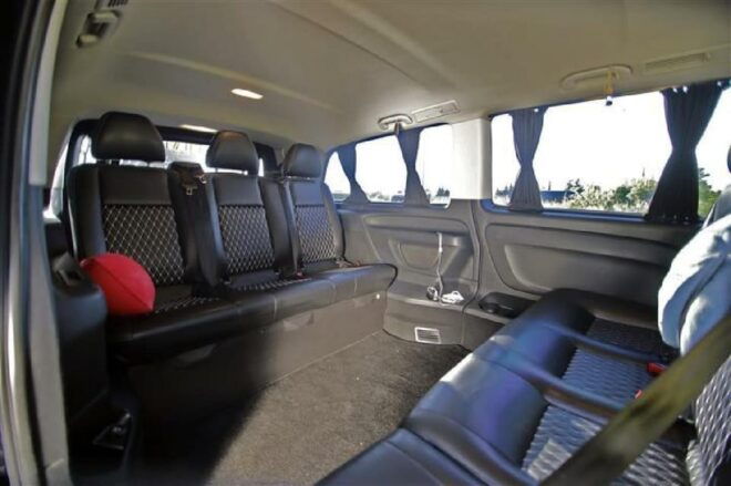 Luxury Transfer From Dalaman Airport to Fethiye Area - Driver Qualifications